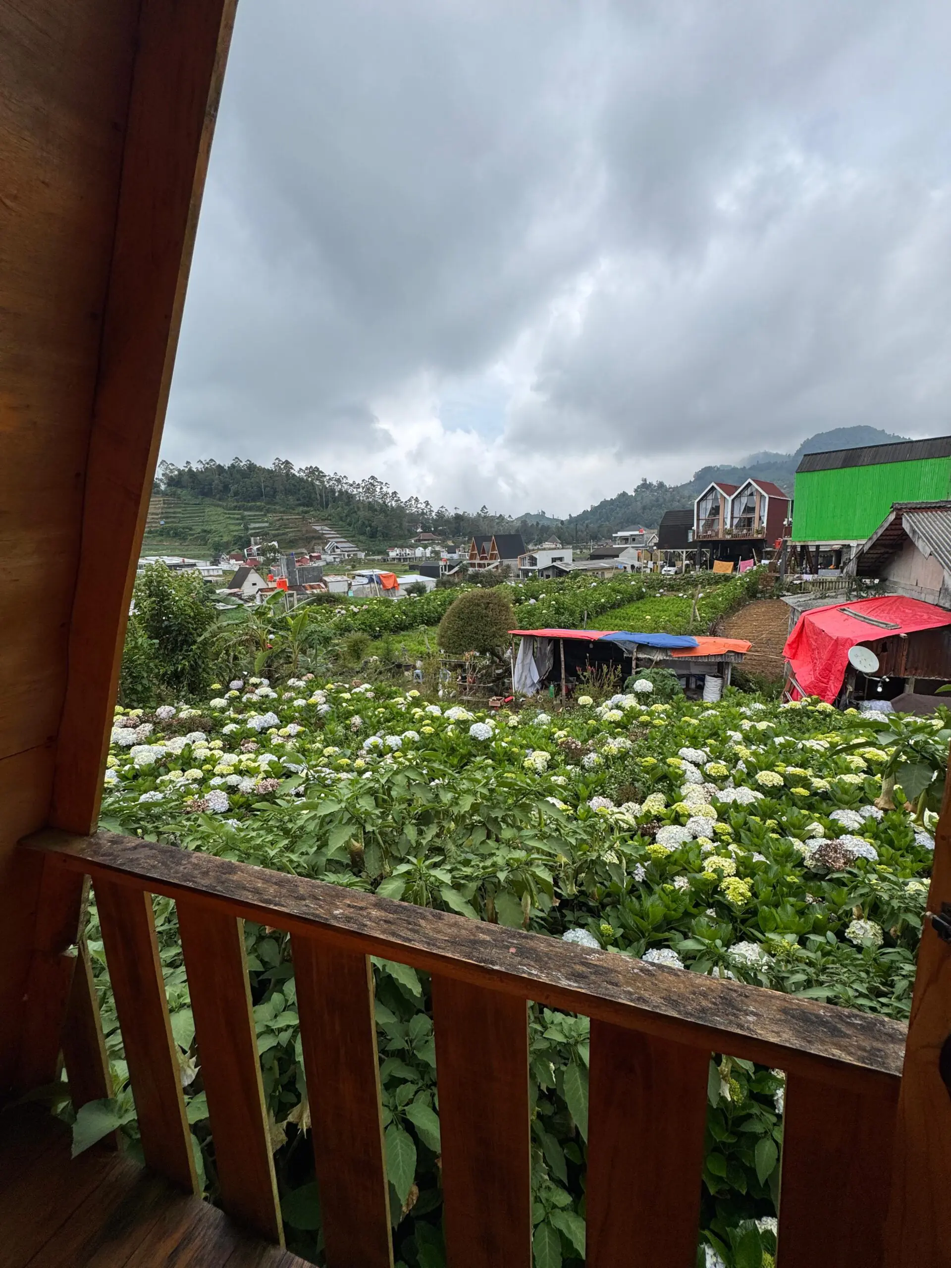 Cabin Aksa Calla Bawah Dieng dengan Fasilitas Lengkap dan Harga Terjangkau