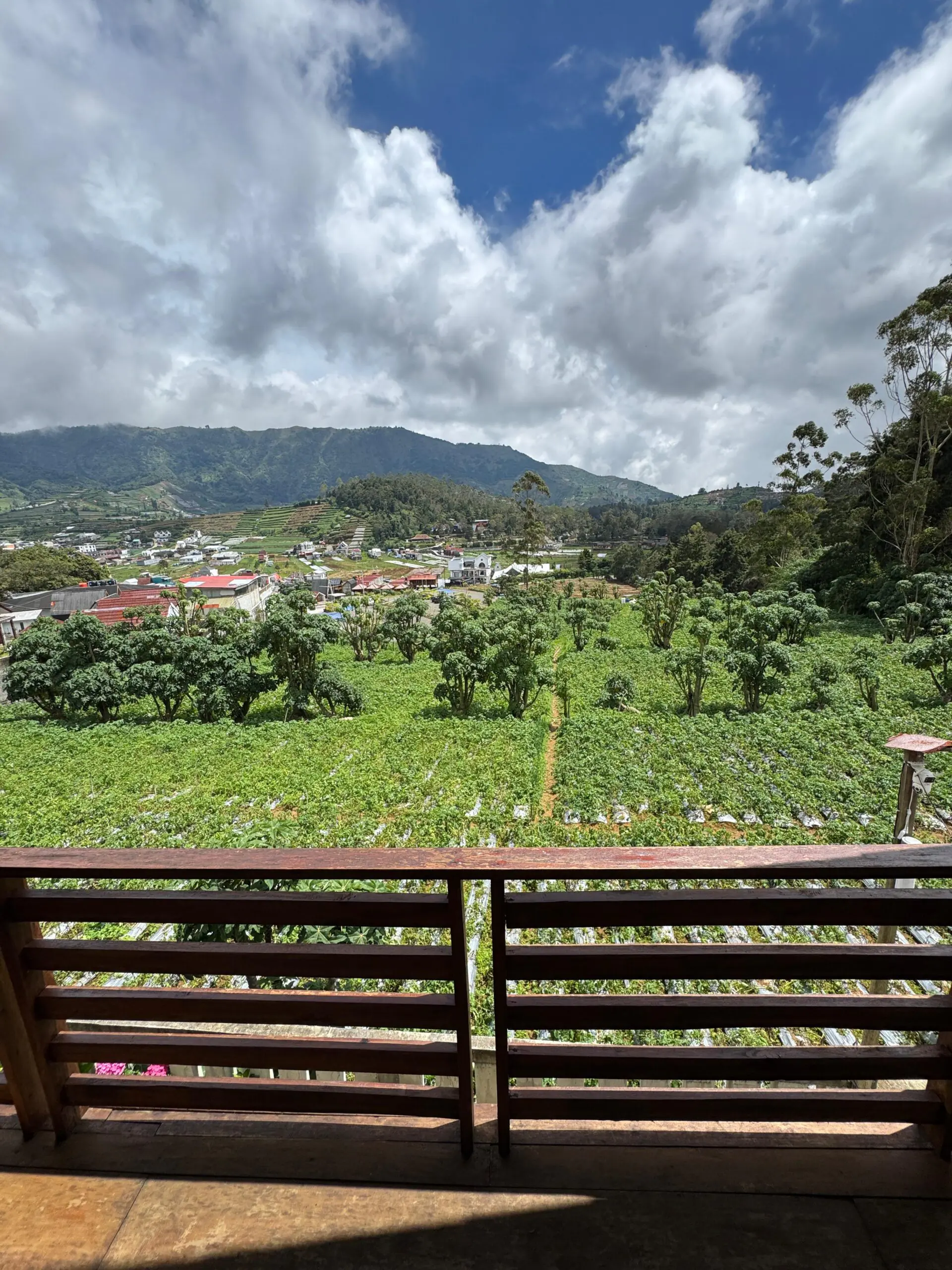 Cabin Wahyu Adiwa Dieng dengan Fasilitas Lengkap dan Harga Terjangkau