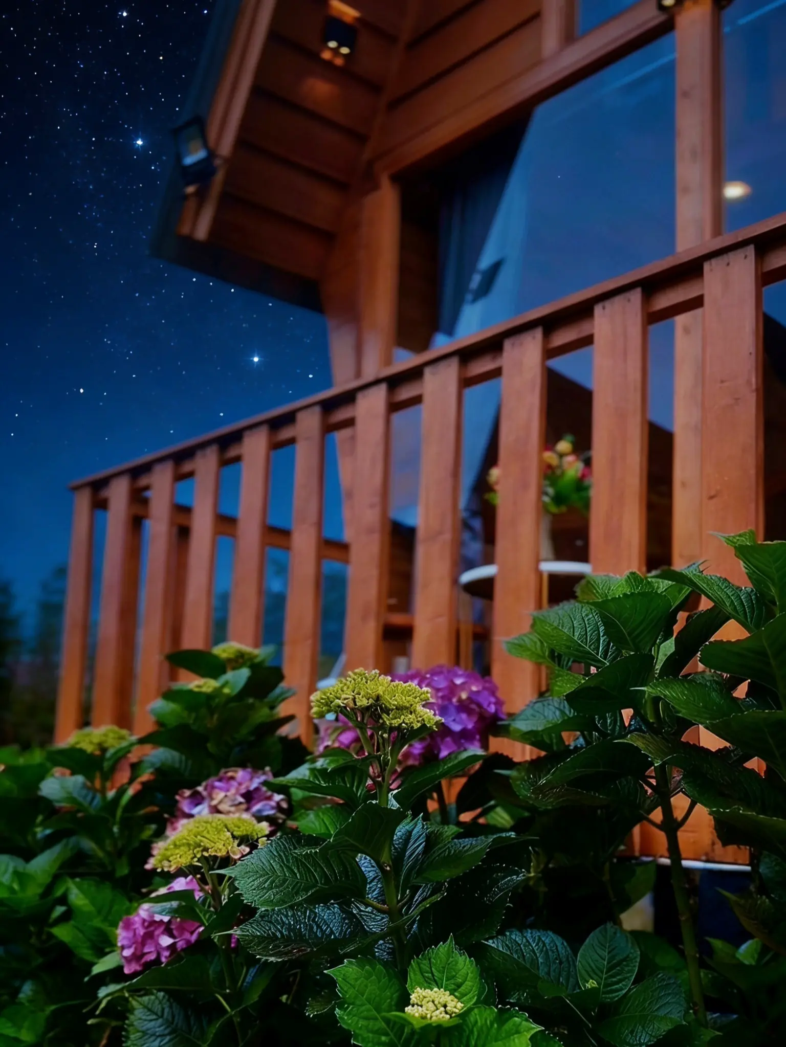 Sunflower Villa Dieng dengan Fasilitas Lengkap dan Harga Terjangkau. Villa dan Penginapan Paling di Cari di Dieng