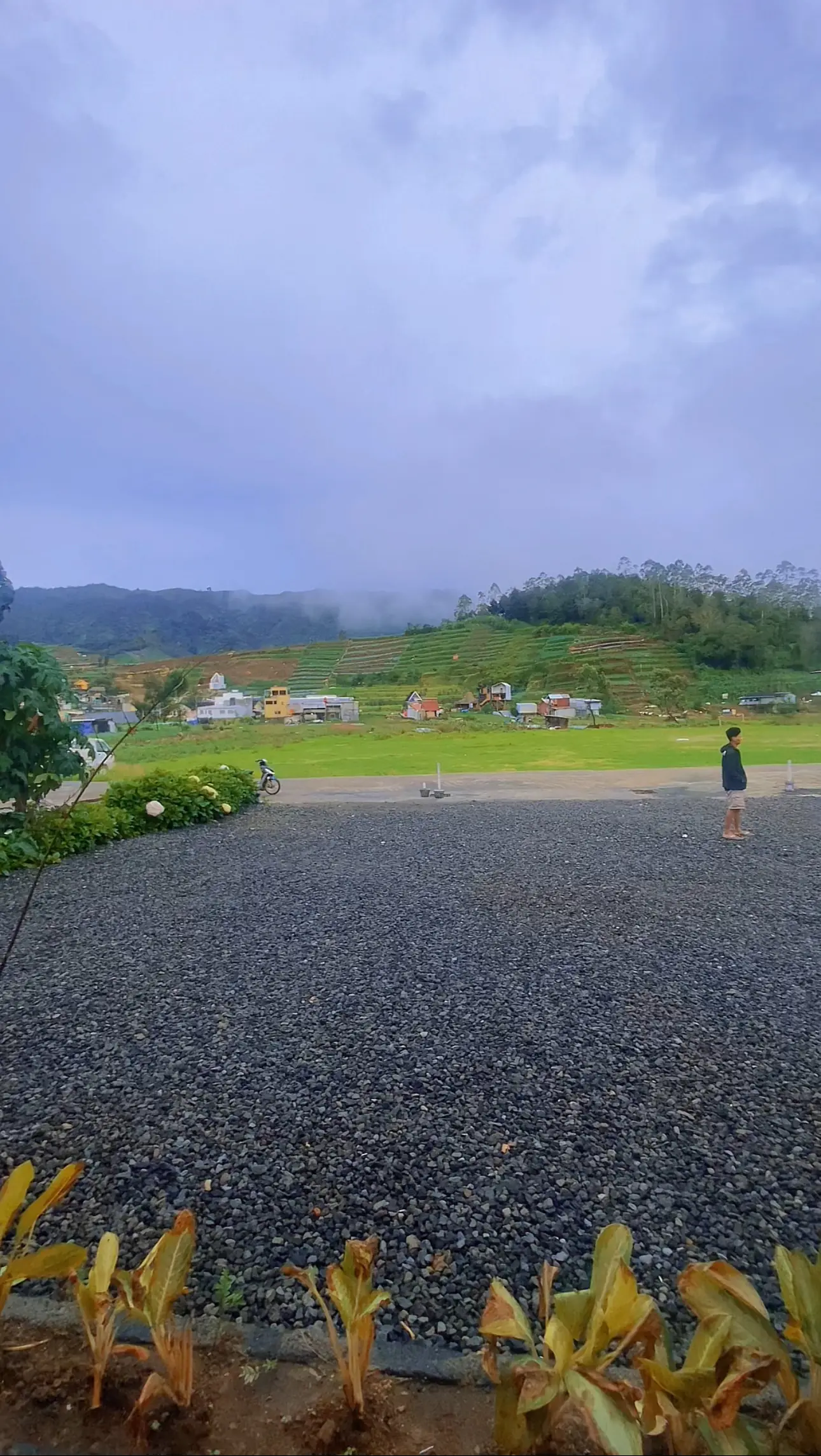 Cabin Viki 2 Dieng dengan Fasilitas Lengkap dan Harga Terjangkau