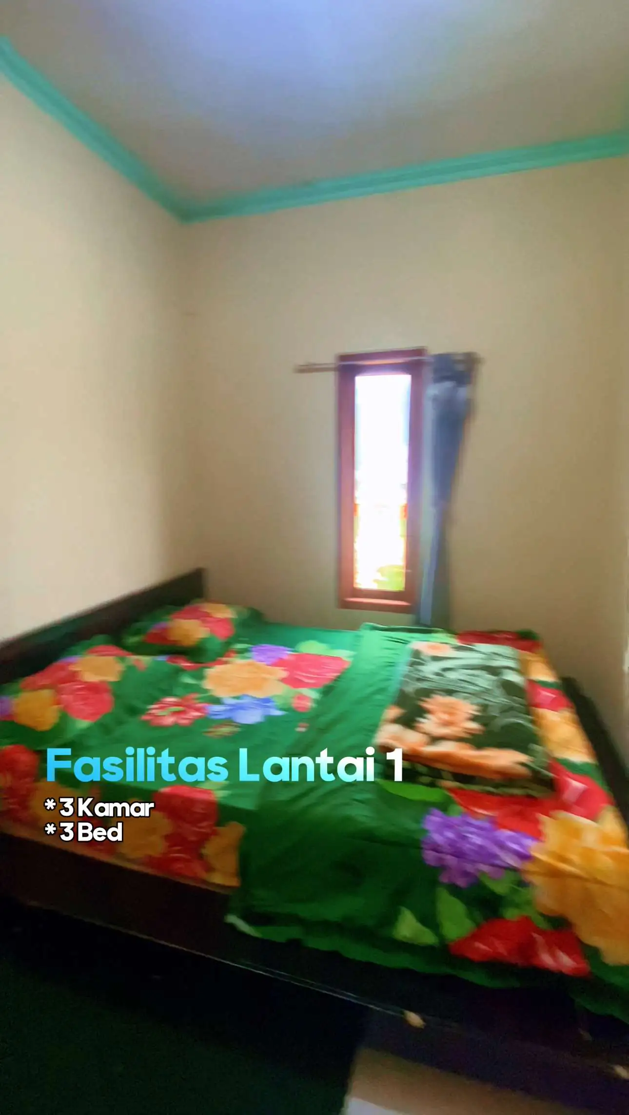 Homestay Tambah Dieng dengan Fasilitas Lengkap dan Harga Terjangkau