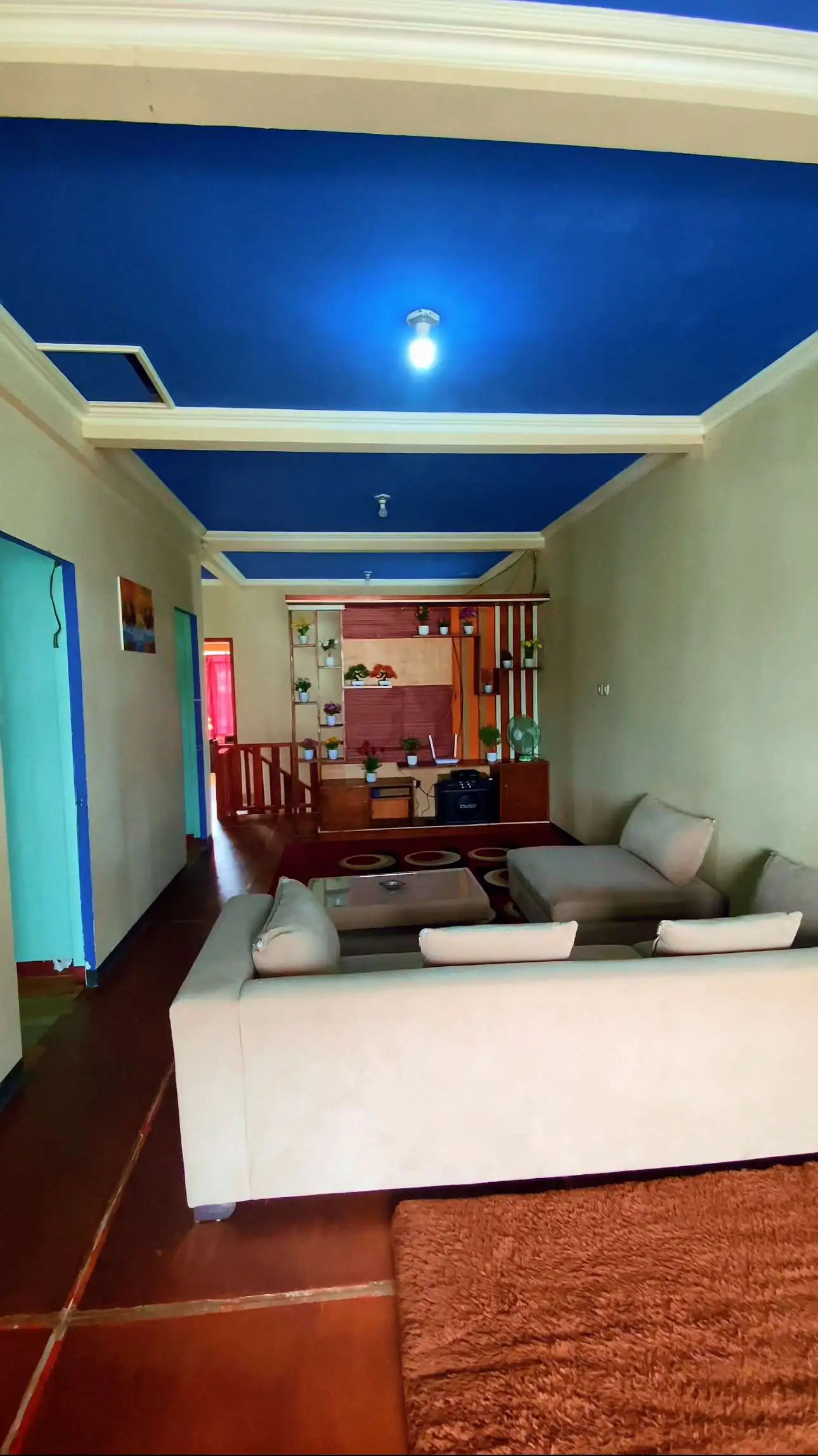 Homestay Tambah Dieng dengan Fasilitas Lengkap dan Harga Terjangkau