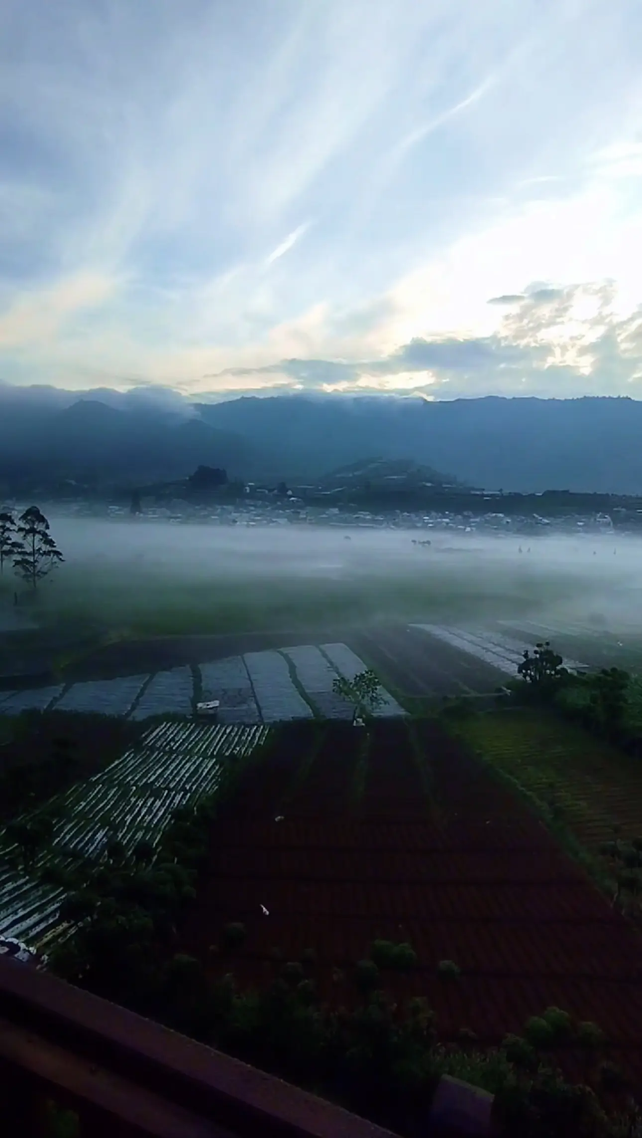Cabin Opek Padang 2 Dieng dengan Fasilitas Lengkap dan Harga Terjangkau