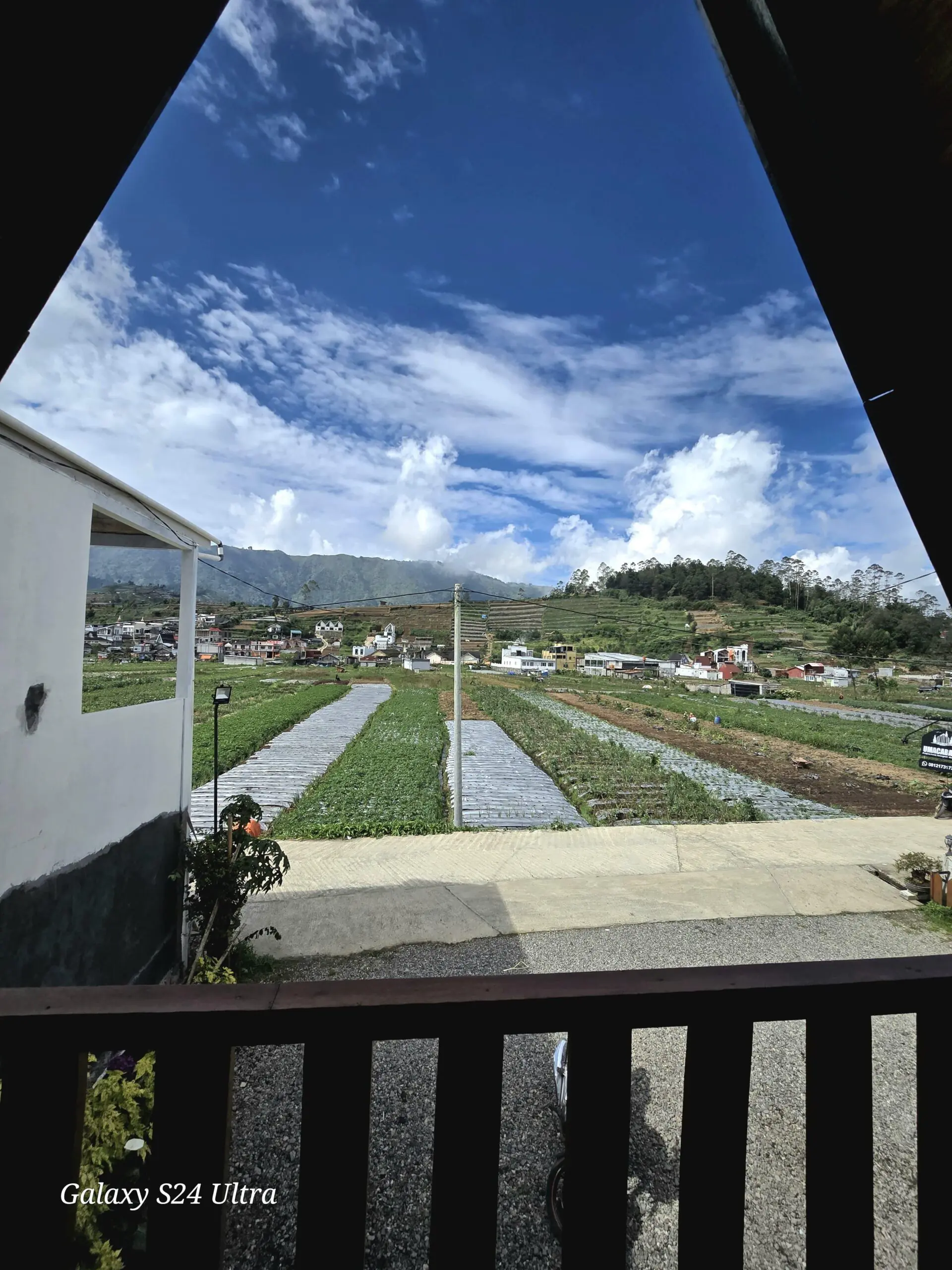 Cabin Nur Kebon Dieng dengan Fasilitas Lengkap dan Harga Terjangkau