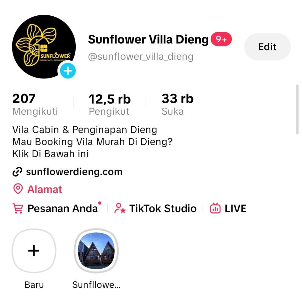 https://www.tiktok.com/@sunflower_villa_dieng